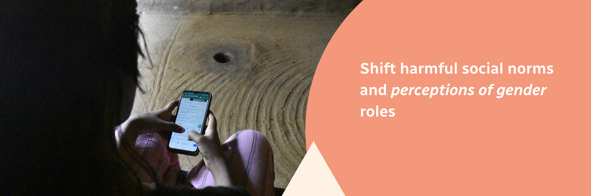 Shift harmful social norms and perceptions of gender roles.