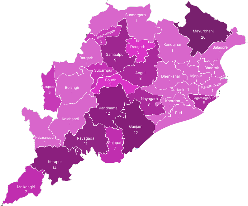 FY 2024 2025
