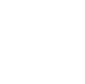 Pilot Implementation